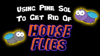 DIY  Using Pine Sol to Get Rid of House Flies [upl. by Tani13]