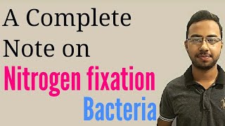 Nitrogen fixation in hindi  nitrogen fixing bacteria  symbiotic nitrogen fixation  microbiology [upl. by Wolfson]