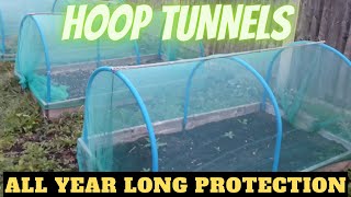 Build A Hoop Tunnel Gardening Allotment UK Grow Vegetables At Home [upl. by Siaht]