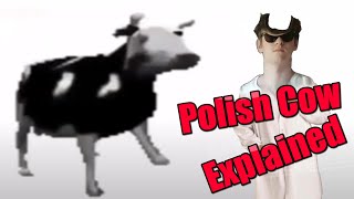 Dancing Polish Cow Explained [upl. by Pellegrini]