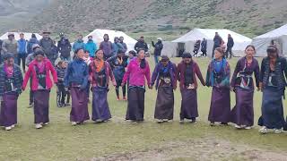 DOLPO DISKO DANCE 22K [upl. by Dace]