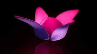 Blooming Flower 3D Animation [upl. by Aettam887]