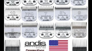 Andis Clipper Blade Sharpening [upl. by Tnilf]