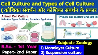 Cell Culture Monolayer culture and Suspension culture Types of cell culture Happybiologyclass [upl. by Freemon]