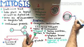 Mitosis  Cell Division  Class 12 Biology [upl. by Catt]