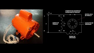 MOTOR MONOFÁSICO DE ARRANQUE POR CAPACITOR [upl. by Nnaeus524]