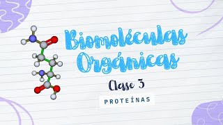 ¿Sabes qué funciones realizan las Proteínas [upl. by Ahsiekal]