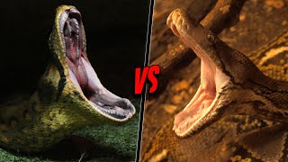 GREEN ANACONDA VS RETICULATED PYTHON  Who Would Win [upl. by Otrebireh]