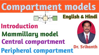 Compartment models Mammillary model English amp Hindi Dr Srikanth [upl. by Hareema99]