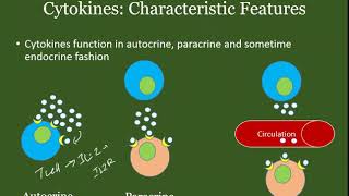 Immunology Lecture Series Introduction to Cytokines [upl. by Ayocal]