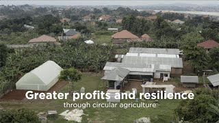 How to run a profitable small farm  Circular food systems in East Africa 35 [upl. by Beller]