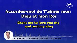 Luc Dumont  Permetsmoi de Texprimer Lyrics [upl. by Dnilazor621]