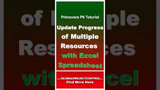 🔴 How to Update Multiple Resources in Primavera P6 with Excel Helpprimaverap6 p6 planning [upl. by Byrle775]