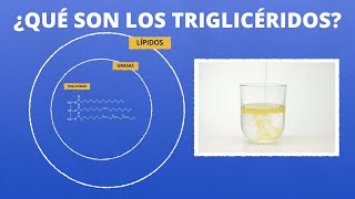 ¿Qué son los triglicéridos [upl. by Kcam]