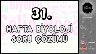 31 Hafta Biyoloji Soru Çözümü [upl. by Polloch435]