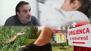 Gjarpri pickon 10vjeçaren Mjeku tregon si duhet vepruar në këto raste… [upl. by Eramat889]