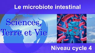 Le microbiote intestinal [upl. by Notaek]