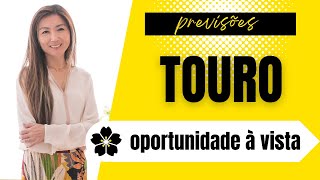 TOURO✨UM PROBLEMA BOM  OPORTUNIDADE DE MOSTRAR A QUE VEIO  Previsões do Tarot [upl. by Werdma]