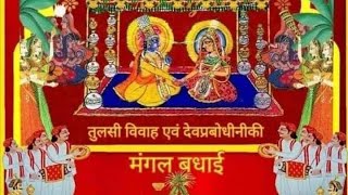 Tulsi Vivah🌱  Dev Uthani Ekadashi govardhan trending PushtiVachanamrut Pushtivrund [upl. by Cordy]