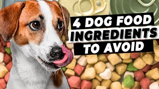 The 4 Dog Food Ingredients To Avoid  Ask a Vet [upl. by Lister]