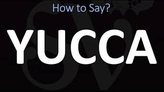 How to Pronounce Yucca CORRECTLY [upl. by Rehc738]