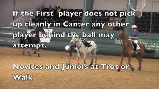 Horse Ball GB Training  Pick UP [upl. by Oriane]