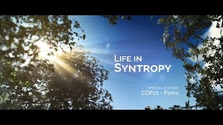 Life in Syntropy [upl. by Wind]