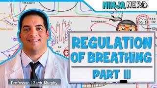 Respiratory  Regulation of Breathing Factors Influencing Rate and Depth Part 3 [upl. by Grunenwald303]