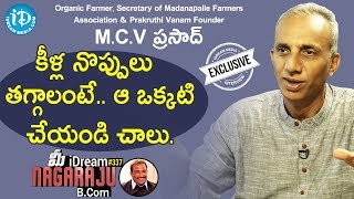 Prakruthi Vanam Founder MCV Prasad Full Interview  మీ iDream Nagaraju BCom 337 [upl. by Ettennal]