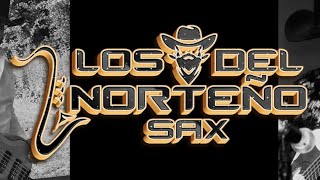 En Las Cantinas  Los Del Norteño Sax [upl. by Virendra]