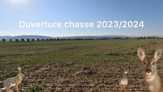 Ouverture chasse petit gibier  Saison 20232024 Objectif Fish [upl. by Ailehs]