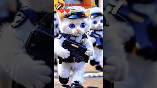 Nice cat soilder❤️🇳🇪 shorts vedio soilders funnycat catcomedyCat youtubeshorts viral [upl. by Innavoig]