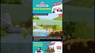 Pond Ecosystem  Learn Biology with Home Revise [upl. by Narton609]