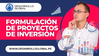 Formulación de Proyectos de Inversión Pública [upl. by Aicekan]