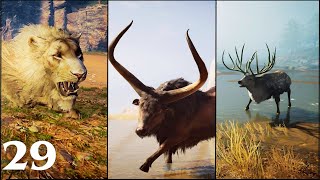 Nemean Lion Kretan Bull Hind of Keryneia  AC Odyssey Walkthrough Part 29 No Commentary [upl. by Derfliw]