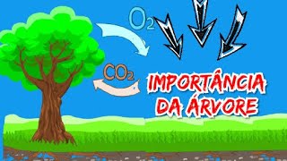 A importância da árvore  Dia árvore Vídeo EducativoEduca Ativa [upl. by Fusuy241]