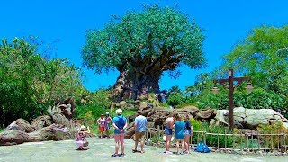 Disneys Animal Kingdom 2019 Orlando Florida  Full Complete Walkthrough Tour [upl. by Kimball]