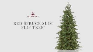 Balsam Hill™  Red Spruce Slim Flip Tree [upl. by Tupler]