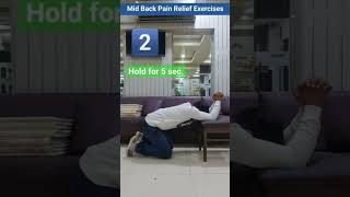 Mid Back Stretches And Exercises for Pain Relief  How to Fix Sore And Stiff Mid Back  पीठ का दर्द [upl. by Lamson]