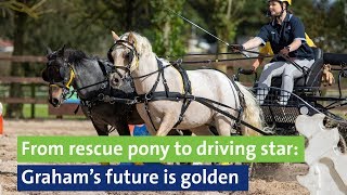 From rescue pony to driving star Graham’s future is golden [upl. by Gowon912]