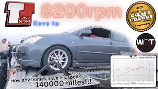 Toyota Corolla T Sport Dyno Pull Rolling Road Cruise Culture [upl. by Leumhs]