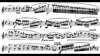 Richard Strauss  Oboe Concerto TrV 292 1945 [upl. by Arbuckle699]