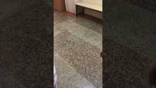 Breaks window in school разбили окно в школе [upl. by Elleuqar357]