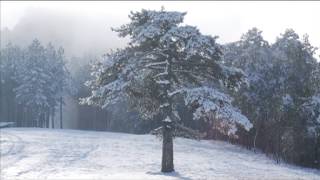 Srbija Moja zemlja Moje putovanje  Planine Srbije [upl. by Airetnahs]