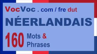 Apprendre le neerlandais 160 mots et phrases [upl. by Devi982]