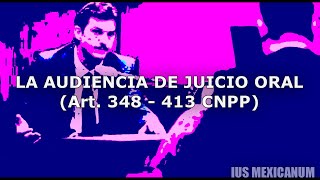 LA AUDIENCIA DE JUICIO ORAL  SISTEMA PENAL ACUSATORIO [upl. by Treble]