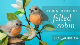 Needle Felting for Beginners  How to Make a Felted Bird [upl. by Aissela788]