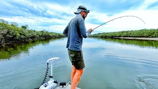 Magic Fishing in Hervey Bay Australia [upl. by Anilra]