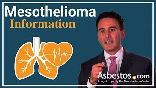 Mesothelioma  What Should You Know Symptoms Causes amp Treatments [upl. by Biamonte54]