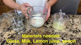 Denaturation process of protein using milk and lemon juice shorts [upl. by Alset]